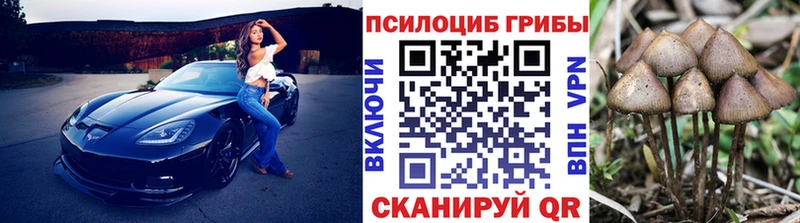 Псилоцибиновые грибы Magic Shrooms  Семёнов 